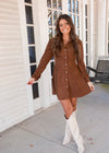 Autumn Suede Dress
