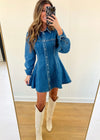 Damon Denim Dress