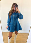 Damon Denim Dress