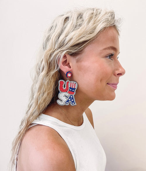 USA Earrings